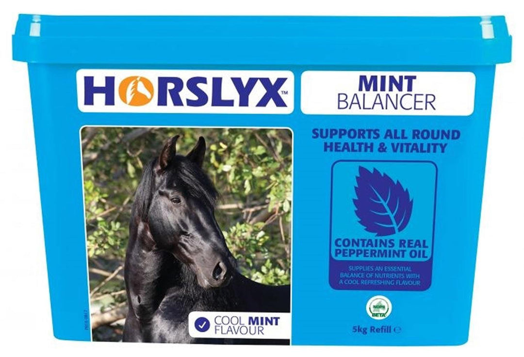 Horslyx Balancer Lick 5Kg Mint