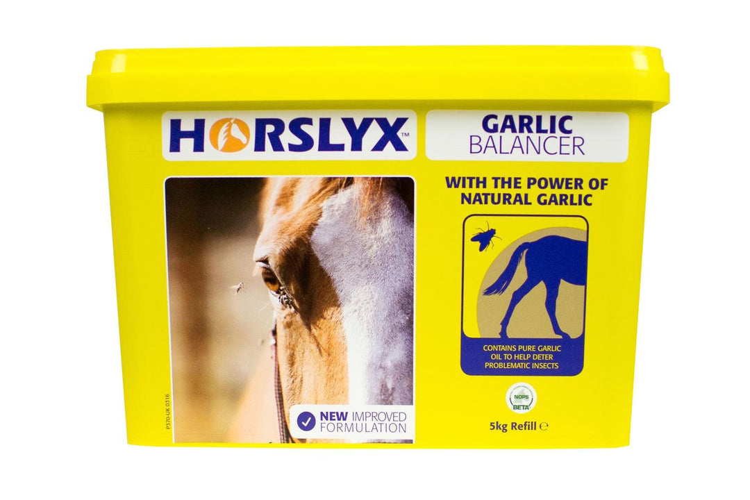 Horslyx Balancer Lick 5Kg Garlic