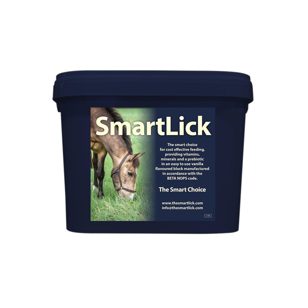 SmartLick Original Lick - 12.5 Kg