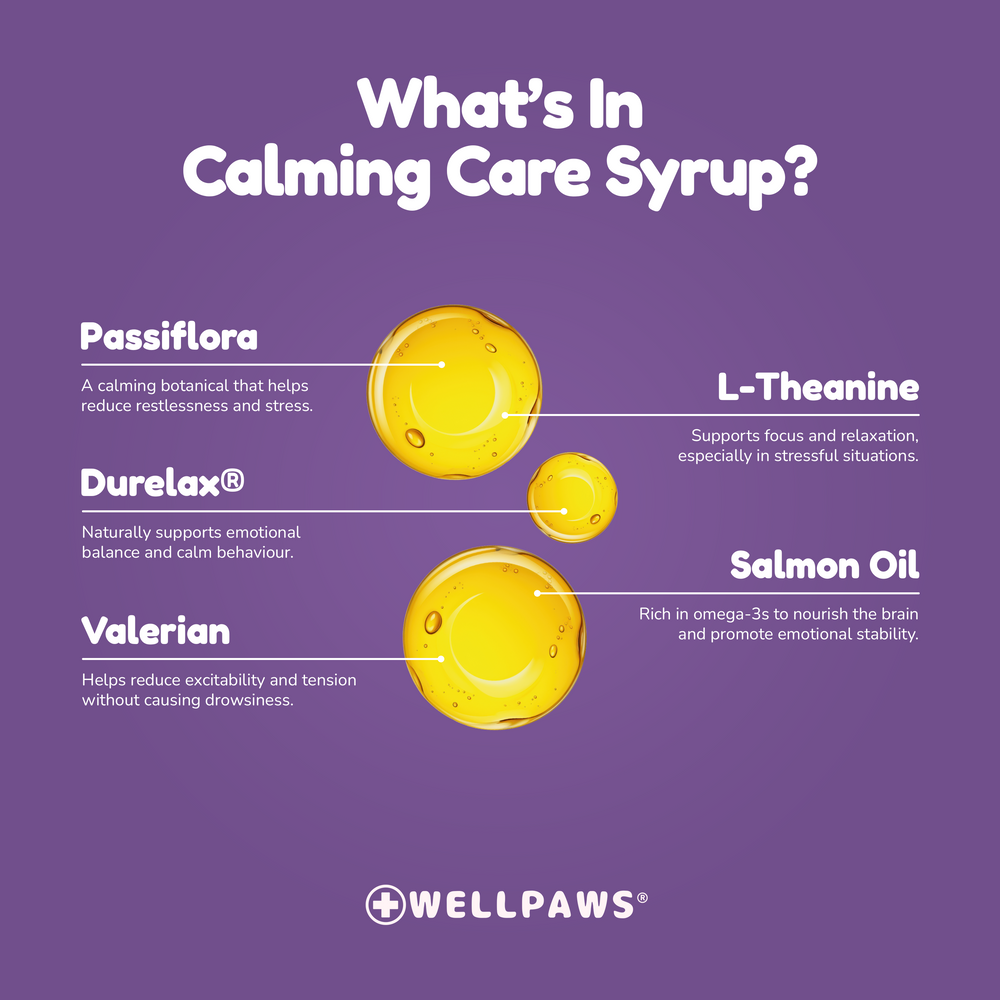 WellPaws Calming Care Syrup 300ml