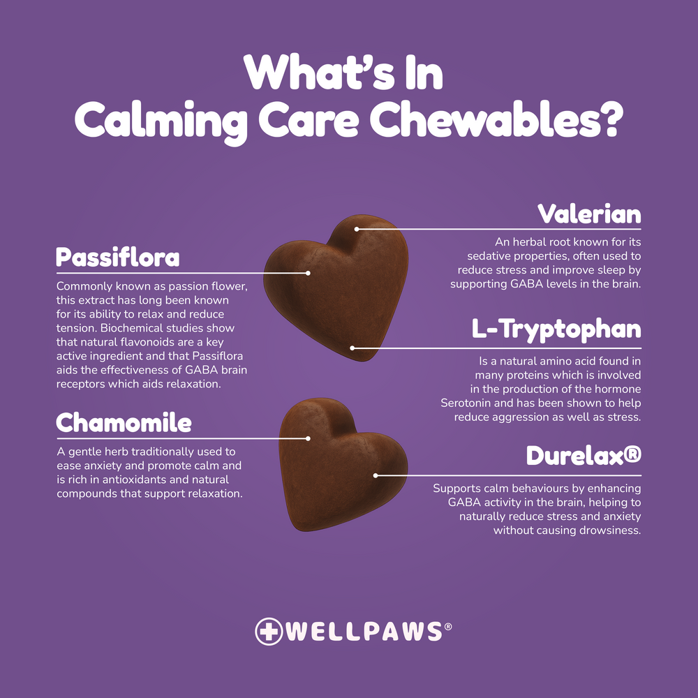 WellPaws Calming Care Chewable 180g