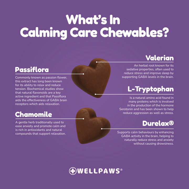 WellPaws Calming Care Chewable 180g