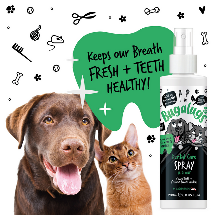 BUGALUGS DENTAL CARE SPRAY FRESH MINT 200ML