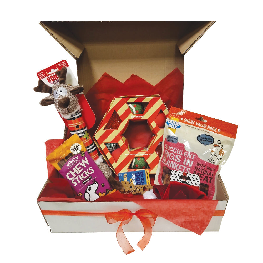 Doggy Christmas Hamper Kong Luxury Gift