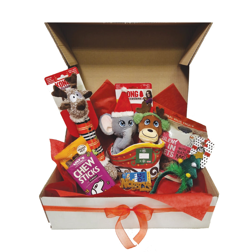 Doggy Christmas Hamper Kong Luxury Gift