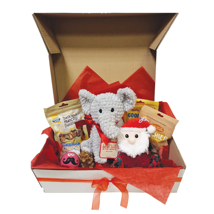 Doggy Christmas Hamper Box Budget