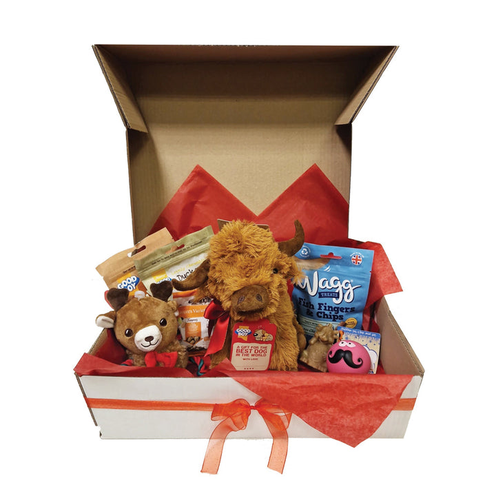 Doggy Christmas Hamper Box Budget