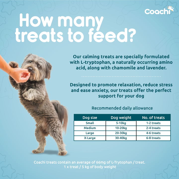 Coachi Natural Calming Treats Turkey 100G