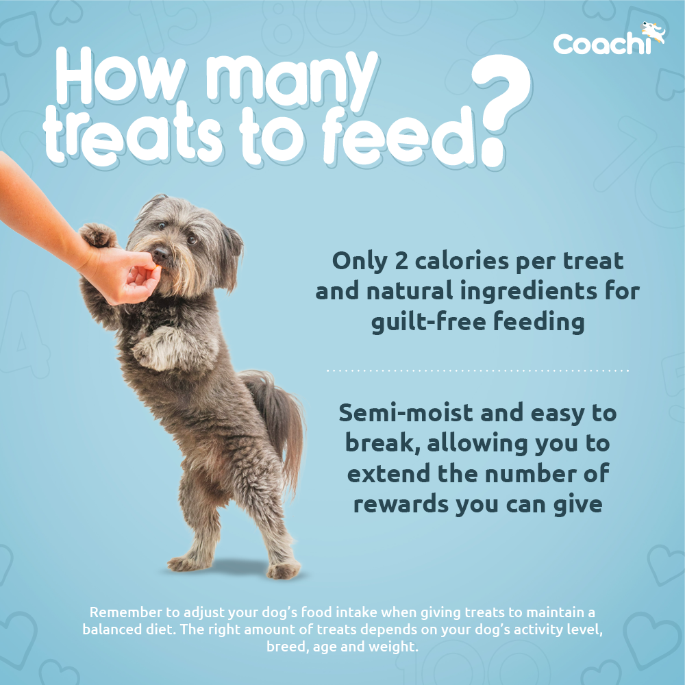 Coachi Natural Training Treats Ocean Fish 100G