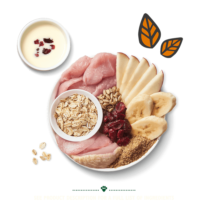 Lily's Kitchen Breakfast Crunch 800g - Ormskirk Pets