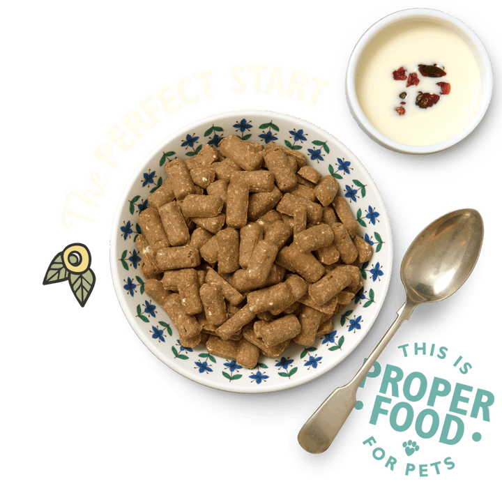 Lily's Kitchen Breakfast Crunch 800g - Ormskirk Pets