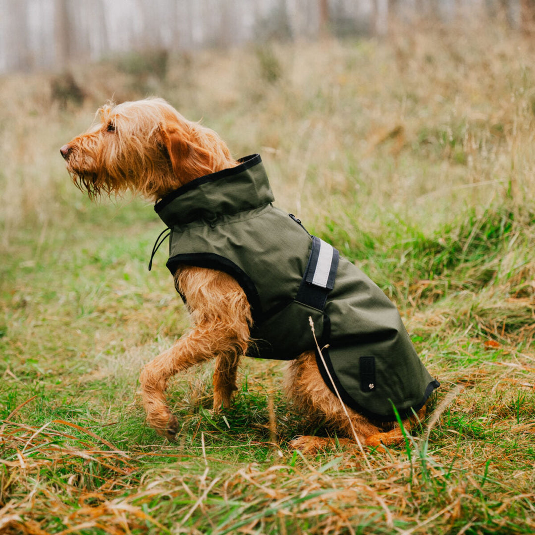 Danish Design 3-In-1 Dog Coat Olive