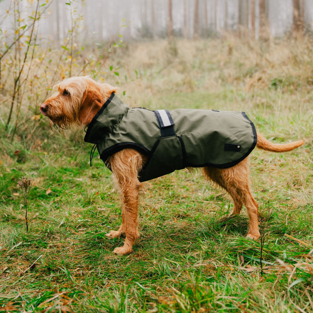 Danish Design 3-In-1 Dog Coat Olive
