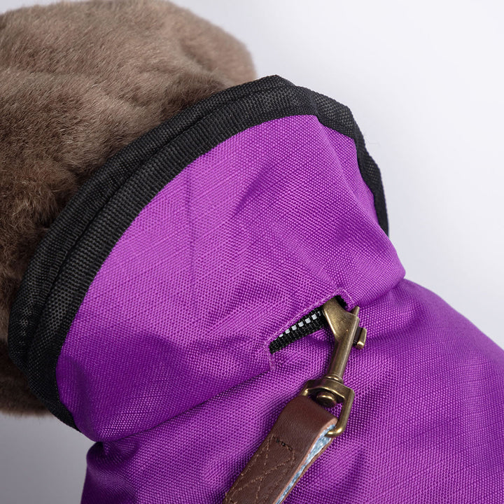 Danish Design 2 In 1 Purple Dog Coat