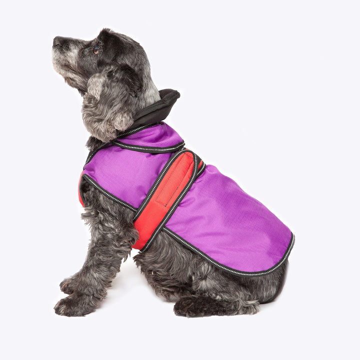 Danish Design 2 In 1 Purple Dog Coat