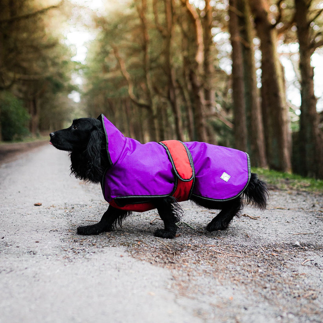 Danish Design 2 In 1 Purple Dog Coat