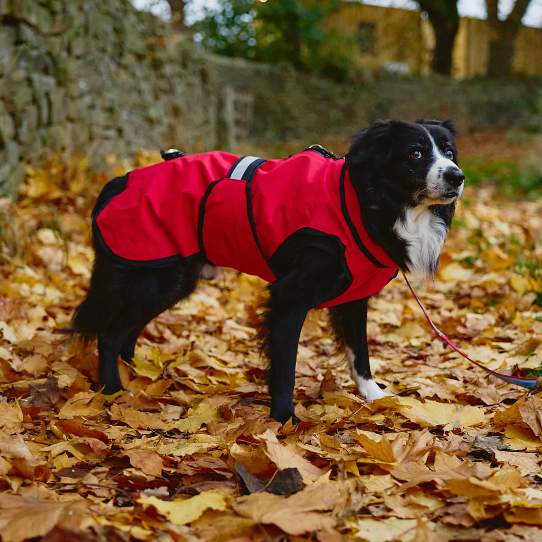 Danish Design 3-In-1 Dog Coat Red