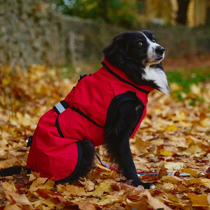 Danish Design 3-In-1 Dog Coat Red