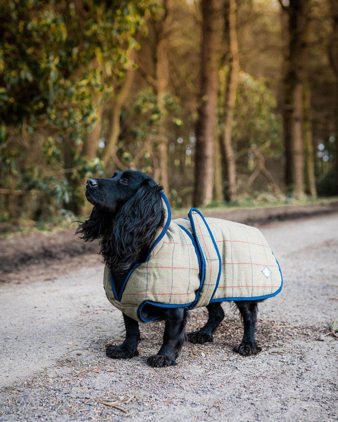 Danish Design Tweed Dog Coat 75 Cm (30") Green