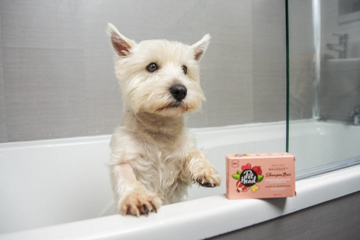 Pet Head Pomegranate Shampoo Bar 85g