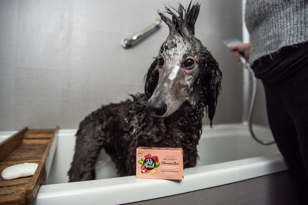 Pet Head Pomegranate Shampoo Bar 85g