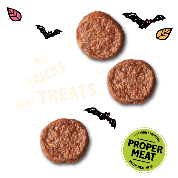Lily's Kitchen Halloween Dog Beef Mini Burgers 70g