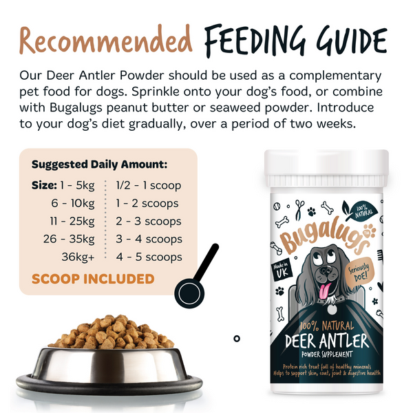 Bugalugs Deer Antler Supplement Powder 70g