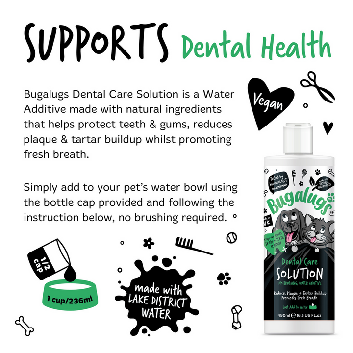 BUGALUGS DENTAL CARE SOLUTION 490ML