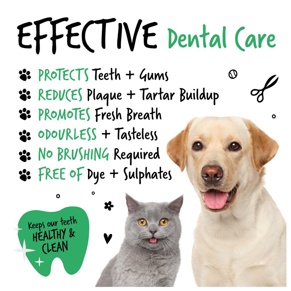 BUGALUGS DENTAL CARE SOLUTION 250ML