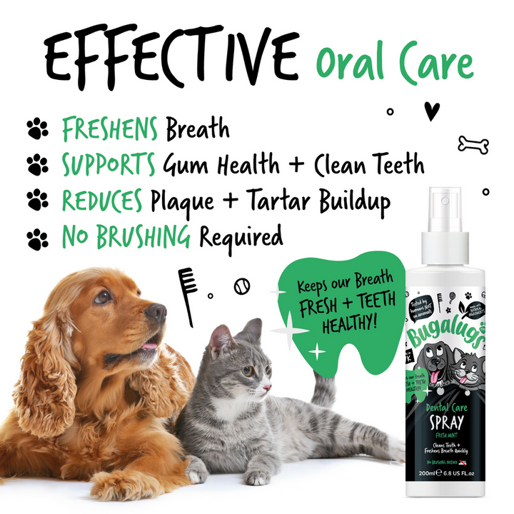 BUGALUGS DENTAL CARE SPRAY FRESH MINT 200ML