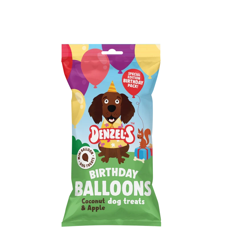 Denzels Birthday Gift Box For Dogs 110G