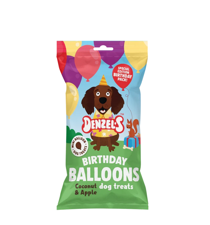 Denzels Birthday Gift Box For Dogs 110G