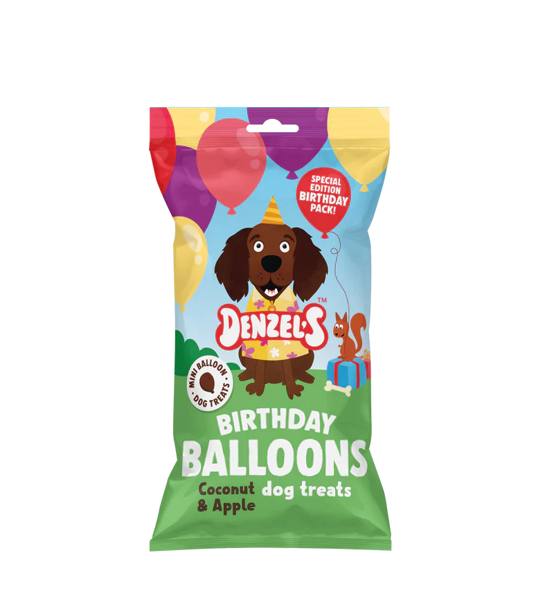 Denzels Birthday Gift Box For Dogs 110G