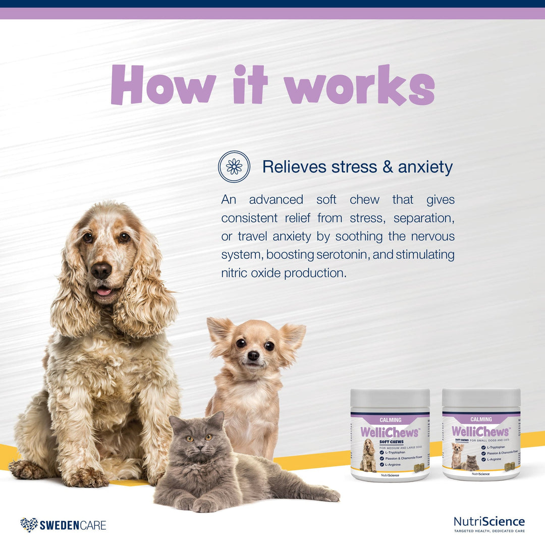 Wellichews Calming Soft Chews