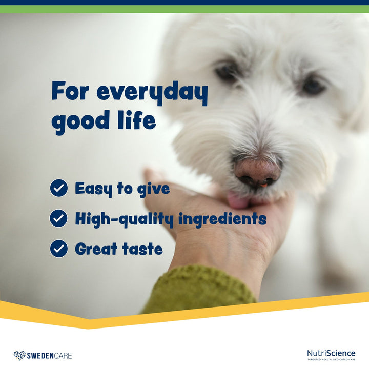 Wellichews Digestion Soft Chews