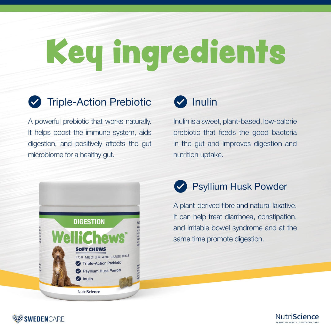 Wellichews Digestion Soft Chews