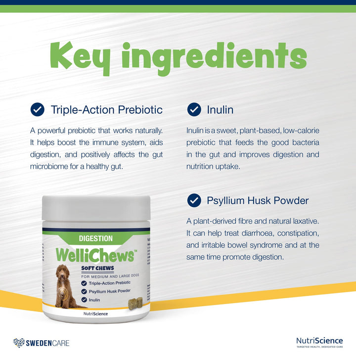 Wellichews Digestion Soft Chews