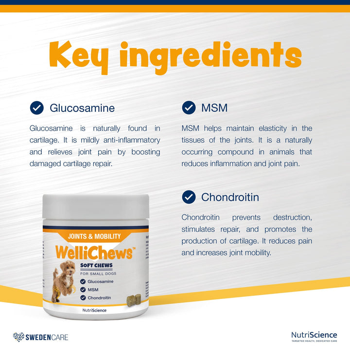 Wellichews Joints & Mobility Soft Chews