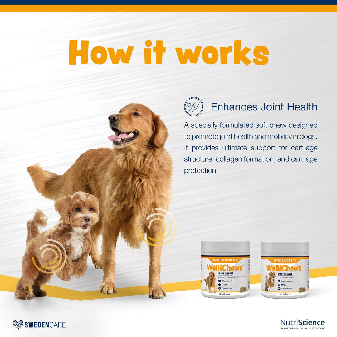 Wellichews Joints & Mobility Soft Chews