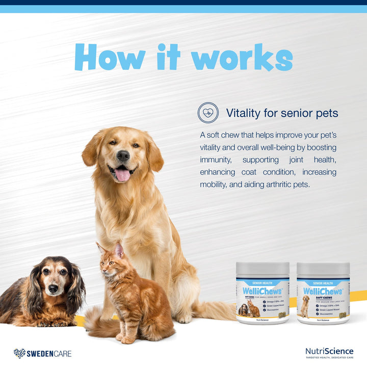 Wellichews Senior Soft Chews