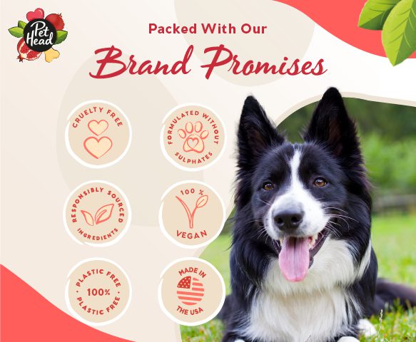 Pet Head Pomegranate Shampoo Bar 85g