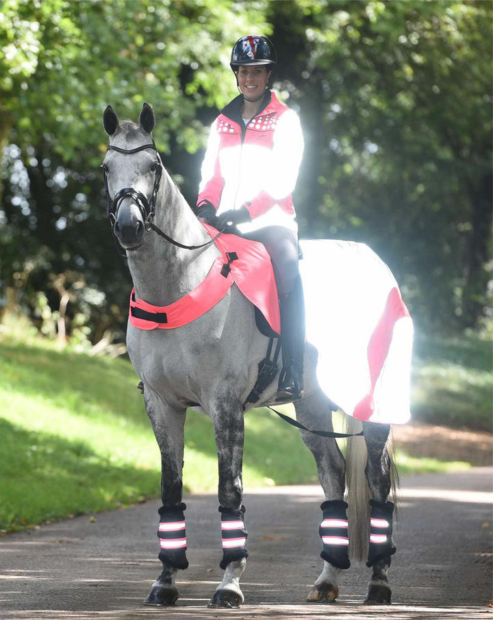 EQUISAFETY MERCURY EXERCISE RUG PINK