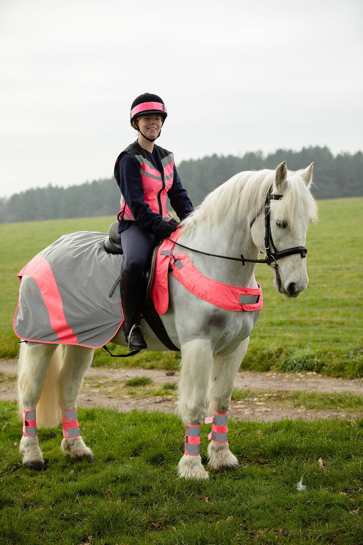 EQUISAFETY MERCURY EXERCISE RUG PINK