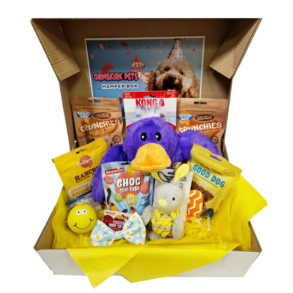 Easter Hamper Box With JUMBO KONG TOY