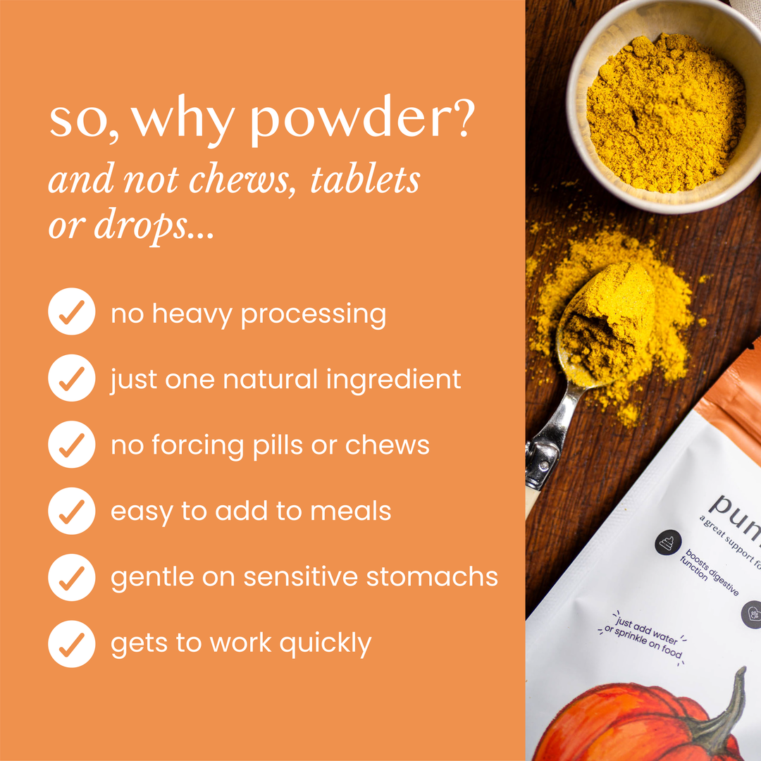 Fettle Pure and Natural Pumpkin Powder 250g