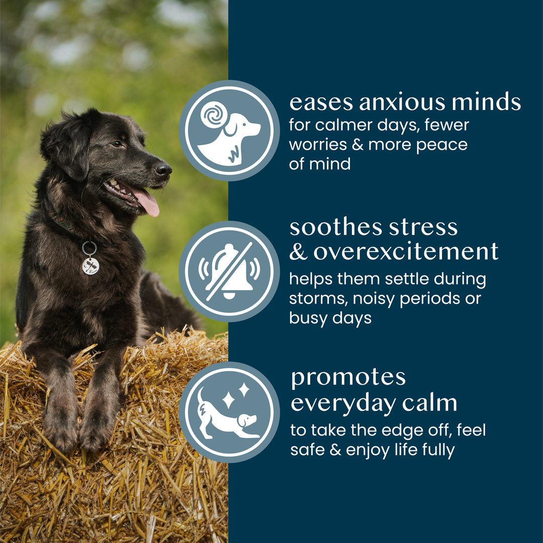 Fettle Pure and Gentle Calming Support Powder 125g