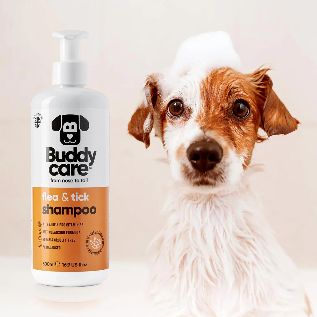 Buddycare Dog Shampoo Flea & Tick Shampoo