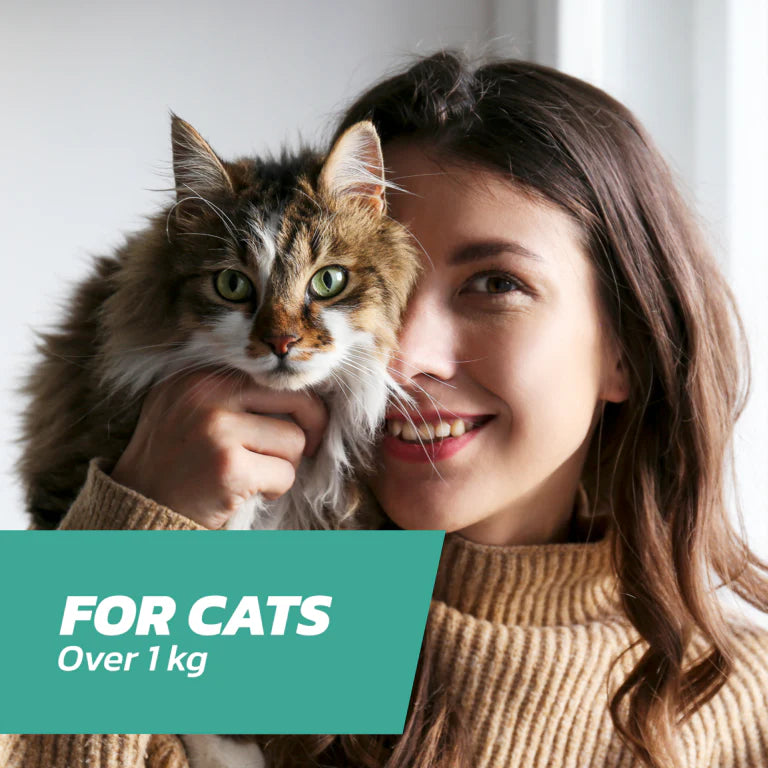 Fleasolve Spot-On Cats