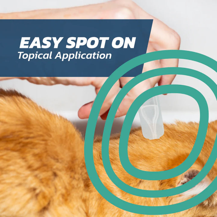 Fleasolve Spot-On Cats
