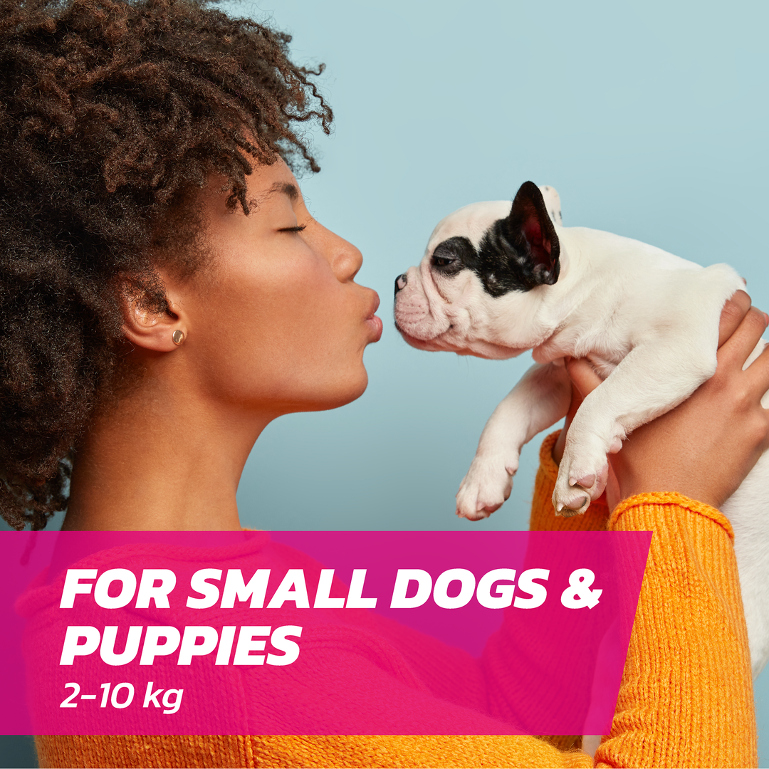 Fleasolve Spot-On Small Dogs
